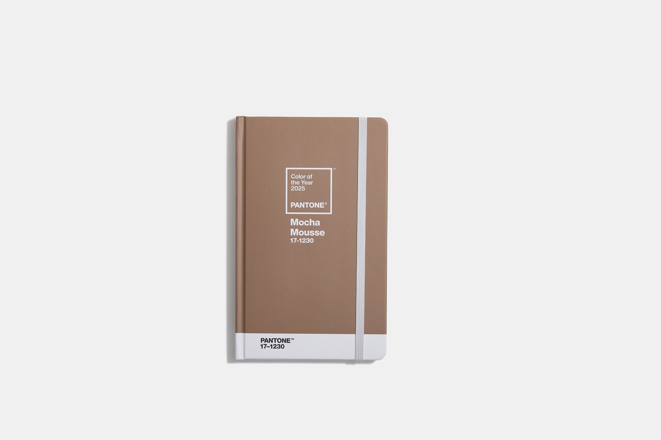 Presenting Pantone's 2025 Colour of the Year, Mocha Mousse.