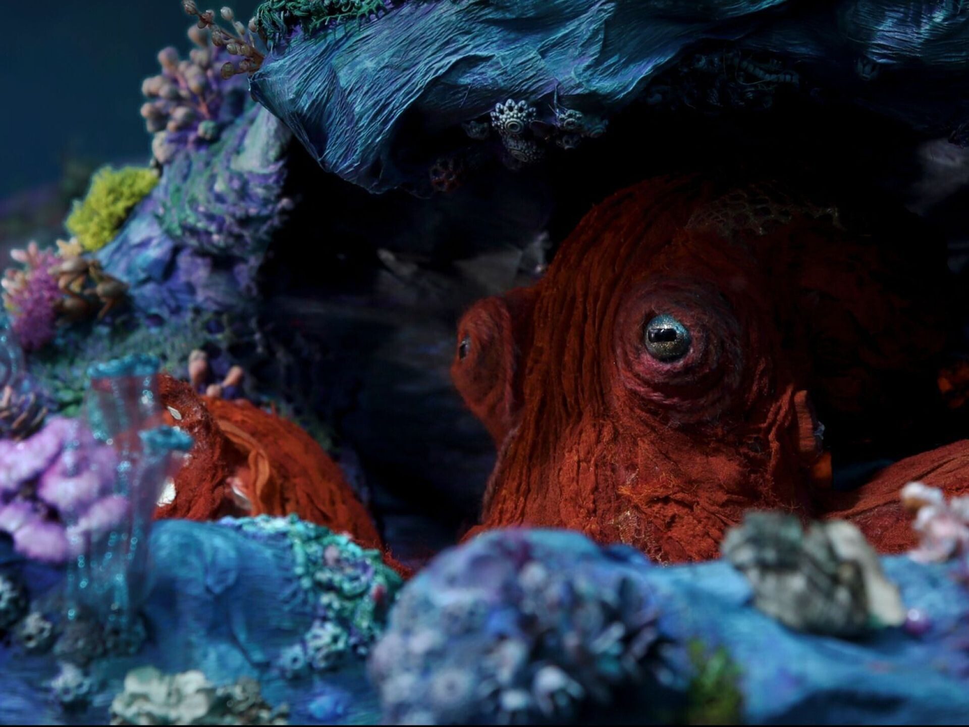 Meet Doris, the amazing stop-motion octopus